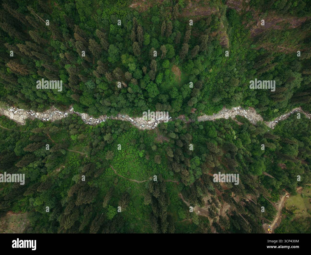 Vista aerea di un fiume d'argento che serpeggia attraverso un fitto arazzo di smeraldo e giada, un vibrante contrasto tra l'arte della natura, Sosan, Himachal Pradesh, India. Foto Stock