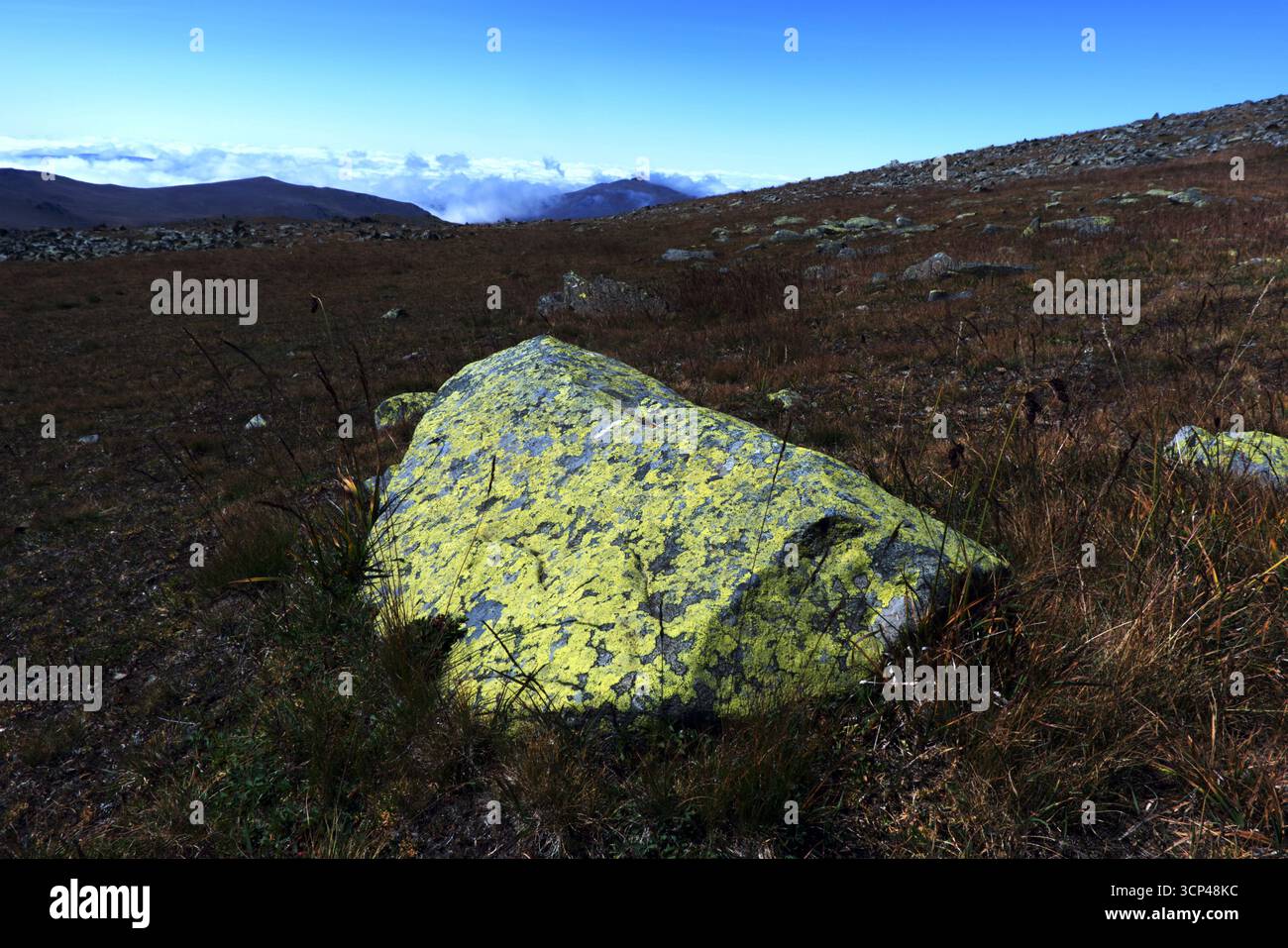 Roccia ricoperta di licheni presso il lago di montagna Descrizione: Una massiccia roccia con macchie di licheni gialli-verdi, che si erge al bordo di un lago di montagna cristallino Foto Stock