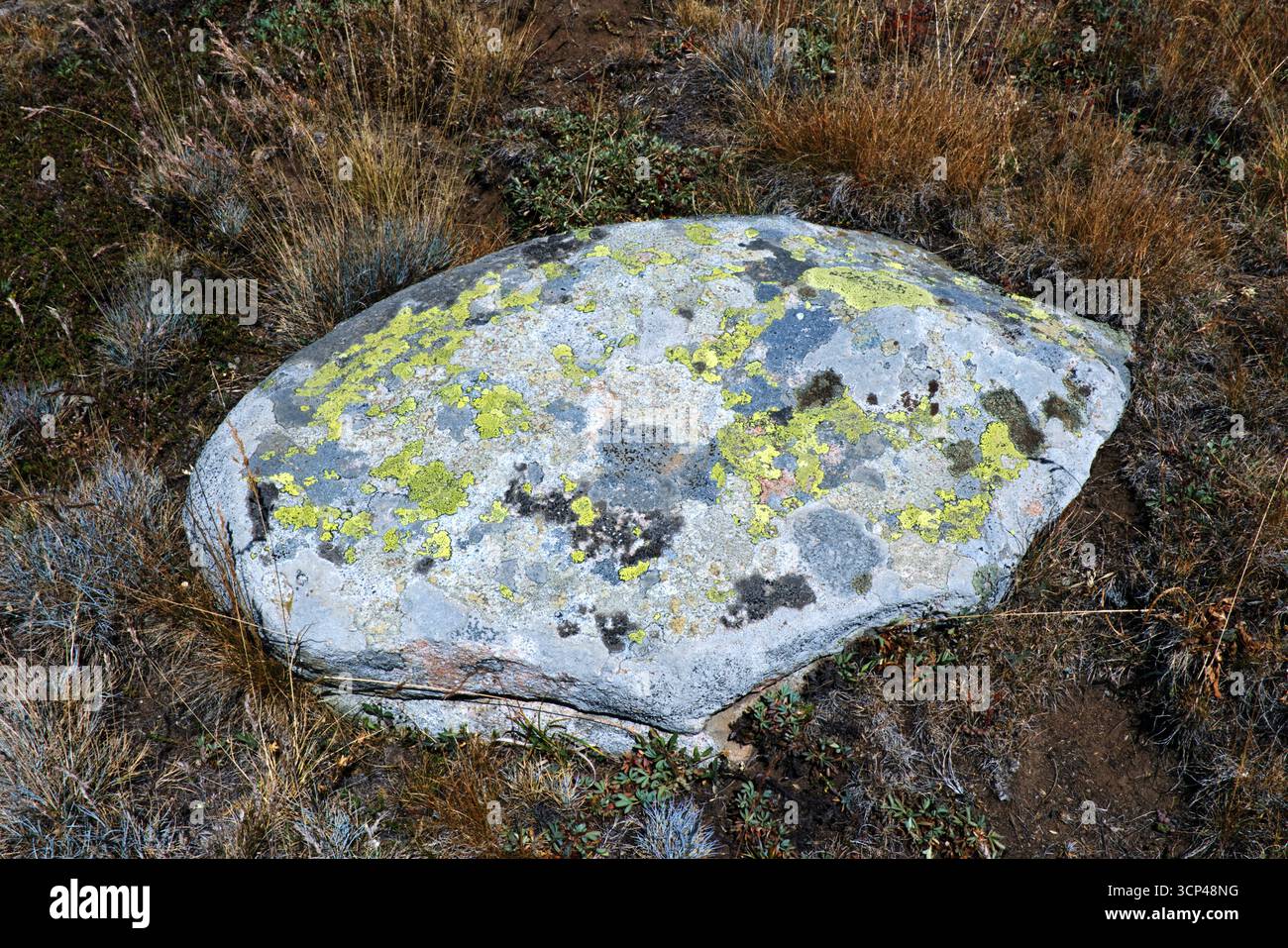 Roccia ricoperta di licheni presso il lago di montagna Descrizione: Una massiccia roccia con macchie di licheni gialli-verdi, che si erge al bordo di un lago di montagna cristallino Foto Stock