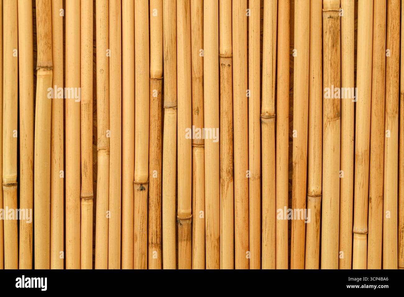 Una fila di bastoncini di bambù di colore marrone. I bastoncini sono disposti in linea retta. L'immagine ha un aspetto naturale e rustico Foto Stock