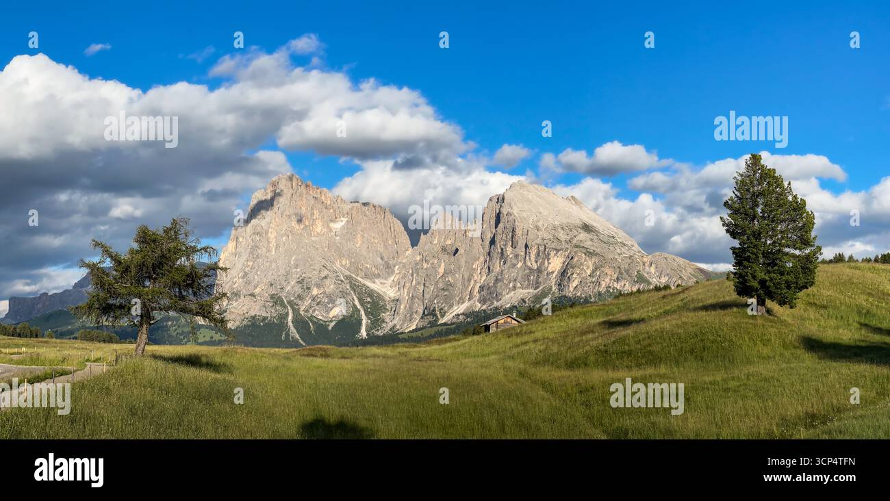 Vista panoramica del gruppo Langkofel sull'Alpe di Siusi nelle Dolomiti, alto Adige, Italia. Foto Stock
