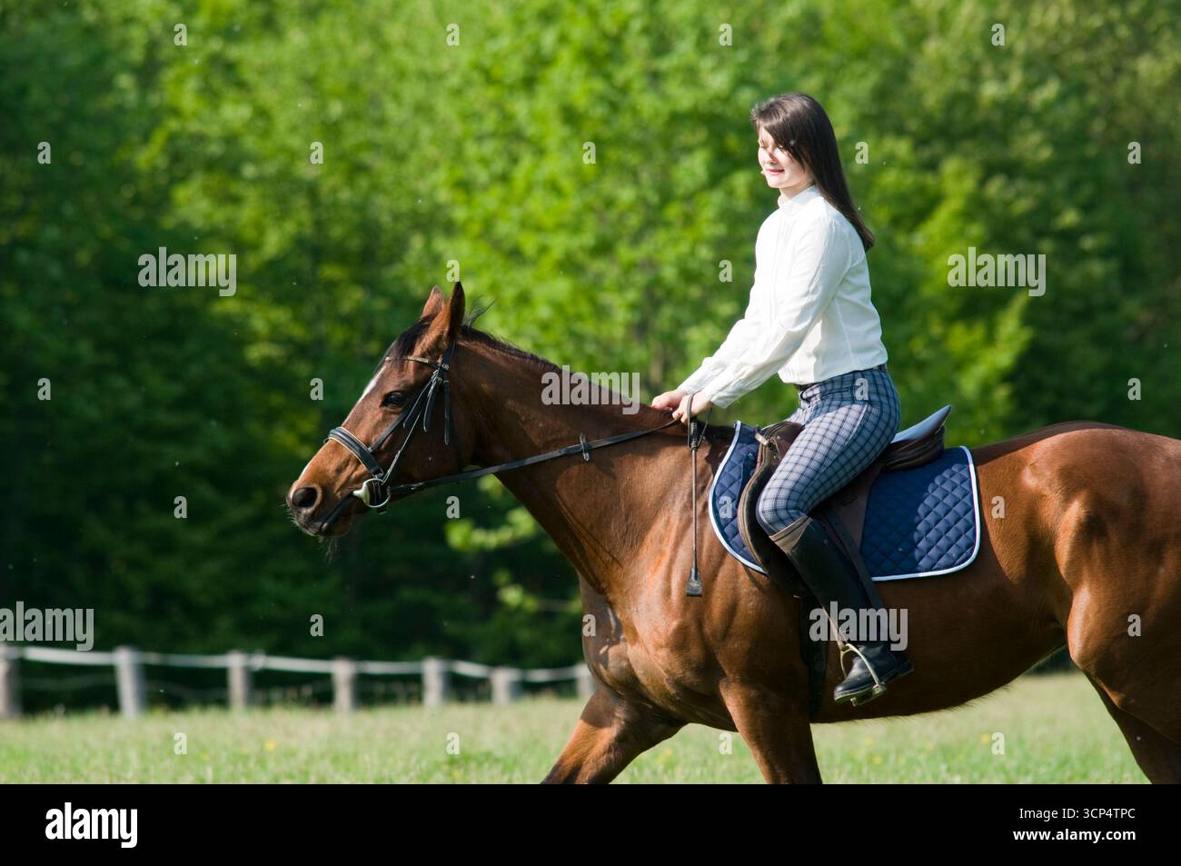 Giovane donna che cavalca un cavallo bruno con sella blu di fronte alla foresta verde, godendosi il piacere dell'equitazione nella campagna rurale primaverile. Foto Stock