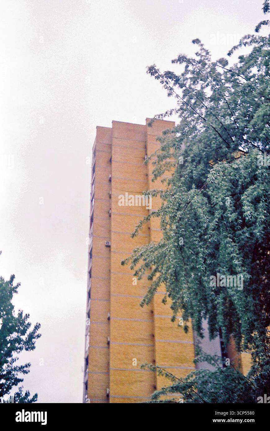 Alberi urbani circondati da edifici. Le cime verdi degli alberi sorgono tra l'architettura della città, mescolando natura e vita urbana. Foto Stock