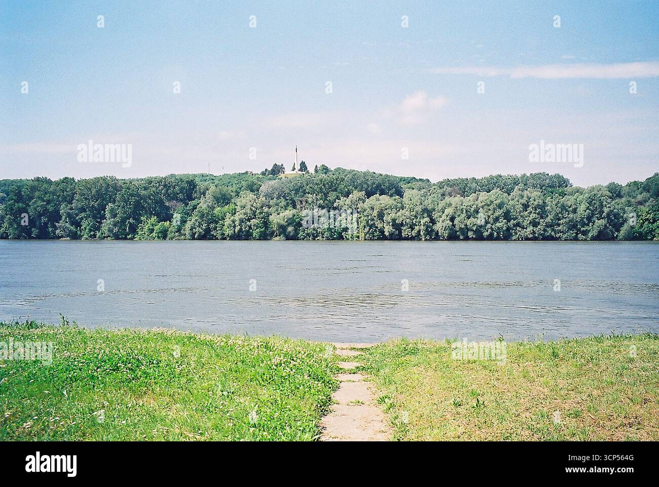 Vista della riva del Danubio attraverso i rami di alberi da una terrazza. La lussureggiante erba verde lungo la riva crea una tranquilla scena naturale. Foto Stock