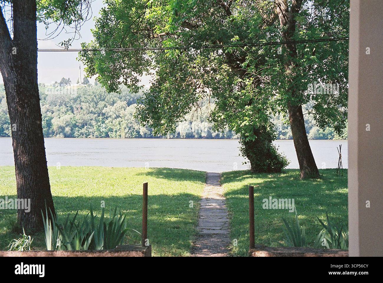 Vista della riva del Danubio attraverso i rami di alberi da una terrazza. La lussureggiante erba verde lungo la riva crea una tranquilla scena naturale. Foto Stock