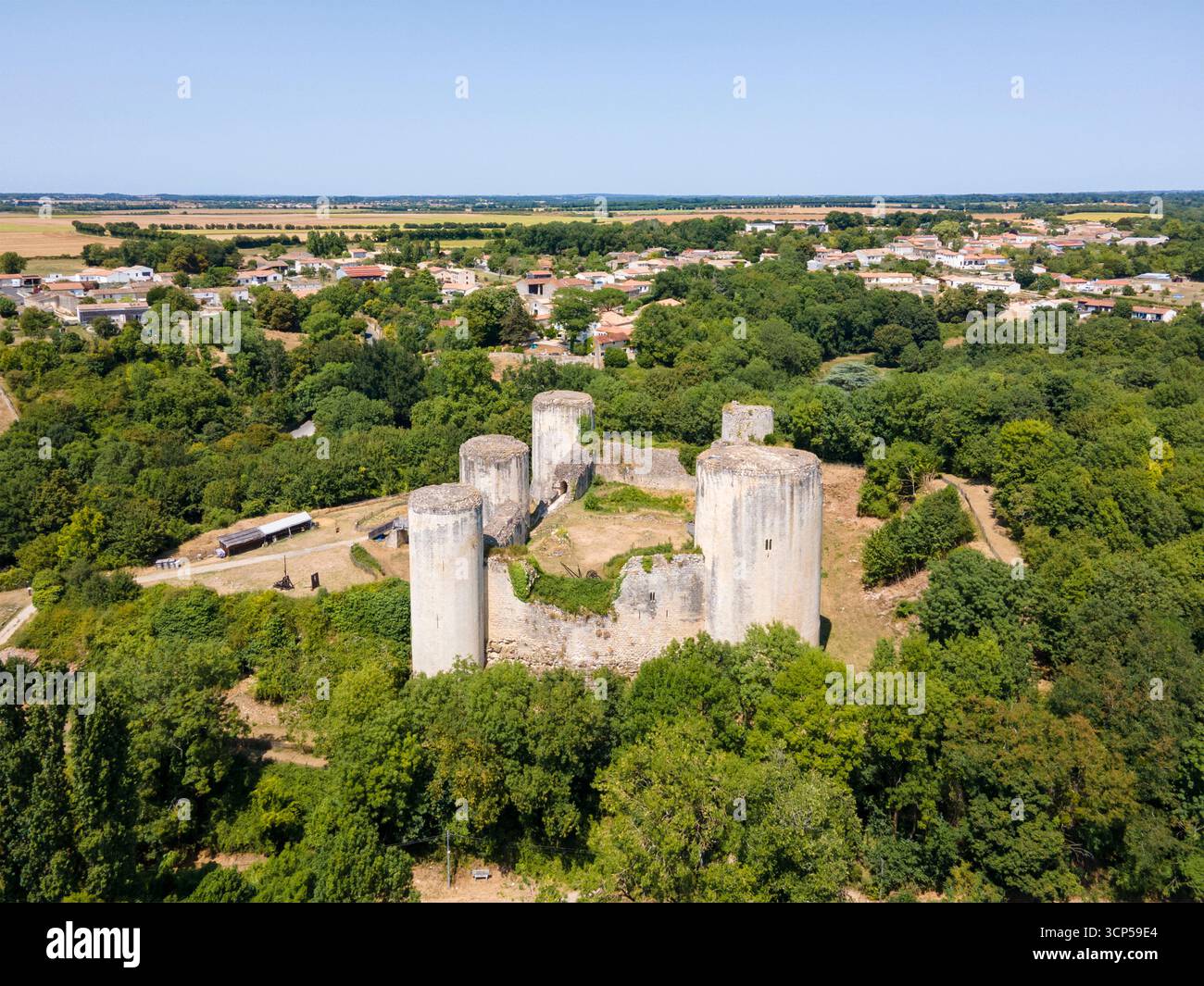 Coudray-Salbart fortezza militare (XIII secolo), Echire, Deux-Sevres (79), Nouvelle-Aquitaine, Francia Foto Stock