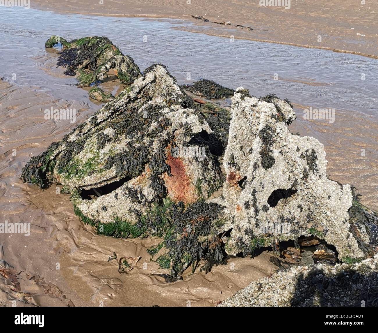 I sommergibili Midget della seconda guerra mondiale si arrugginiscono nella baia di Aberlady vicino a Edimburgo. La Classe X fu costruita come nuovo approccio per abbattere le navi da guerra tedesche. - Immagine stock catturata con smartphone