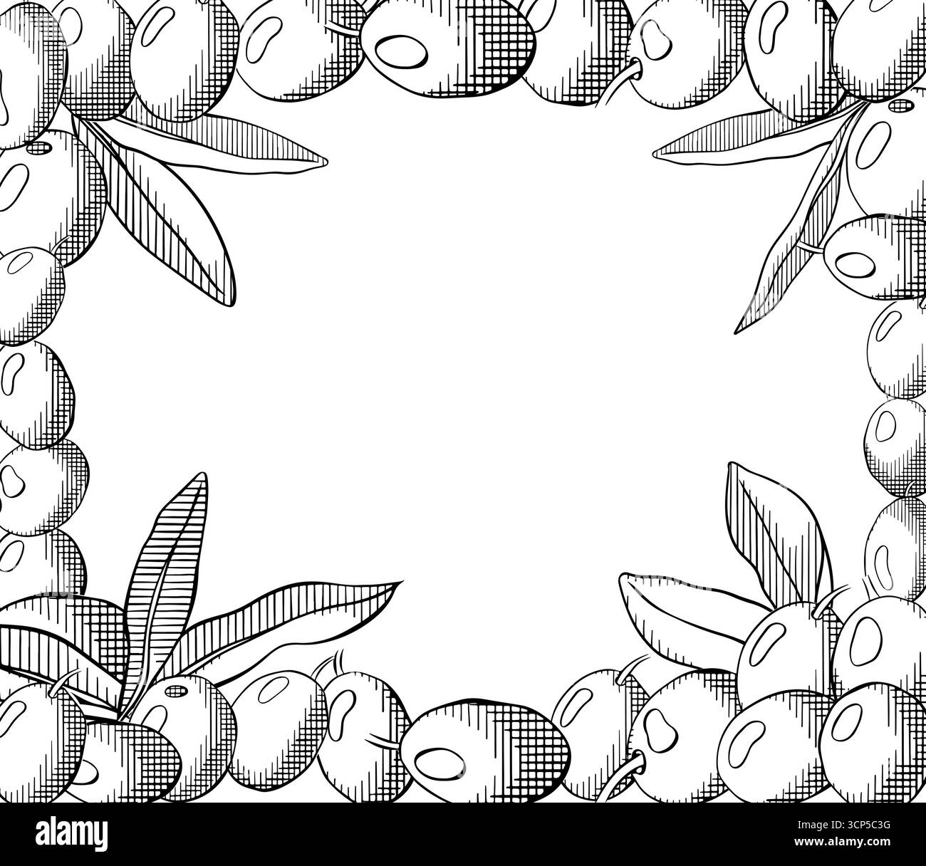 Sfondo di olive. Modello cornice rettangolare nero oliva e bianco bacca e foglie. Illustrazione dell'inchiostro con linee grafiche vettoriali. Menu di piatti mediterranei desi Illustrazione Vettoriale