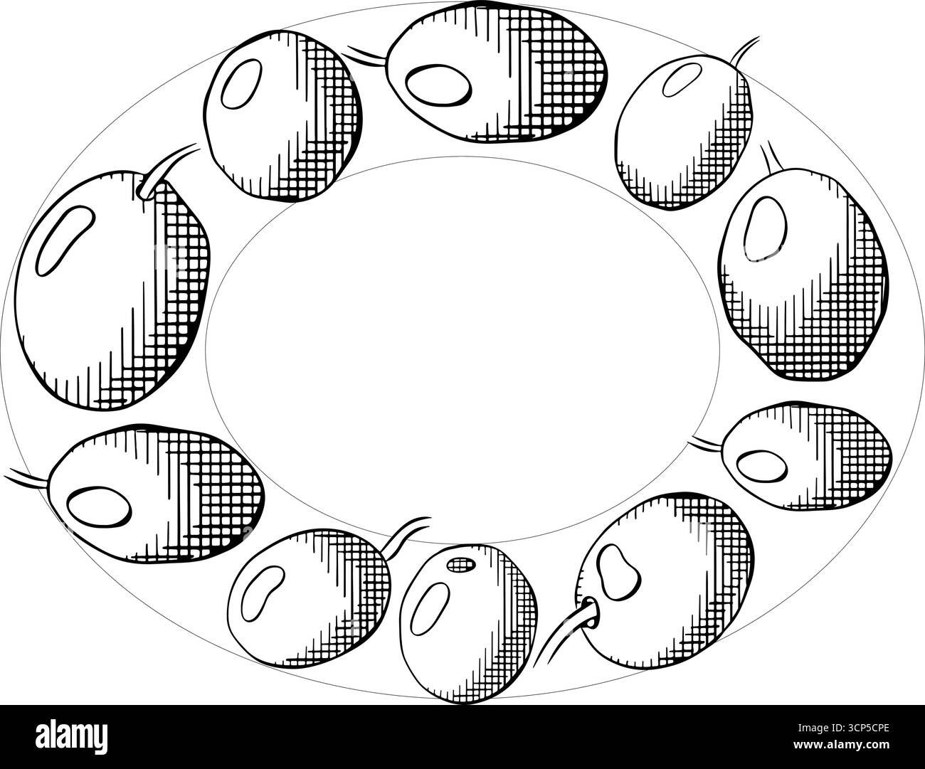 Modello ovale con bacca nera di oliva. Illustrazione in bianco e nero con inchiostro a linee grafiche vettoriali. Rosmarino senza frutti, telaio circolare a foglia di alloro per cartoncino, cibo cosmetico Illustrazione Vettoriale