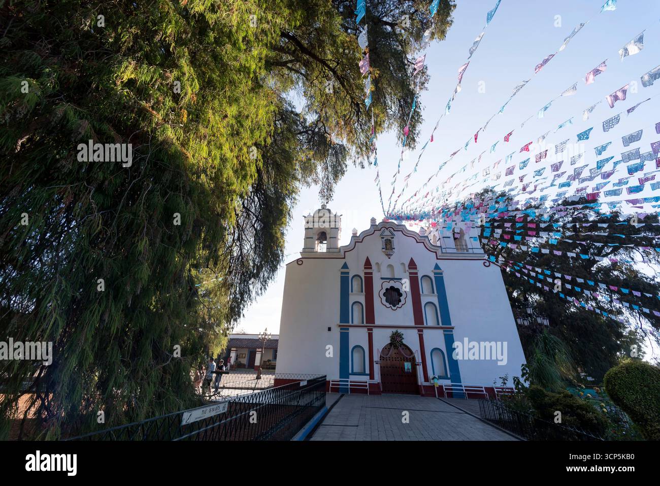 Scene a El Tule e al tempio di Santa María de la Asunción: L'albero più grande del mondo Oaxaca, Messico Foto Stock