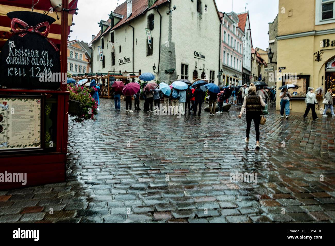Giornata di pioggia nella città vecchia di Tallinn, in Estonia, con i turisti in possesso di ombrelloni che camminano lungo le strade acciottolate circondate da edifici medievali storici. Foto Stock