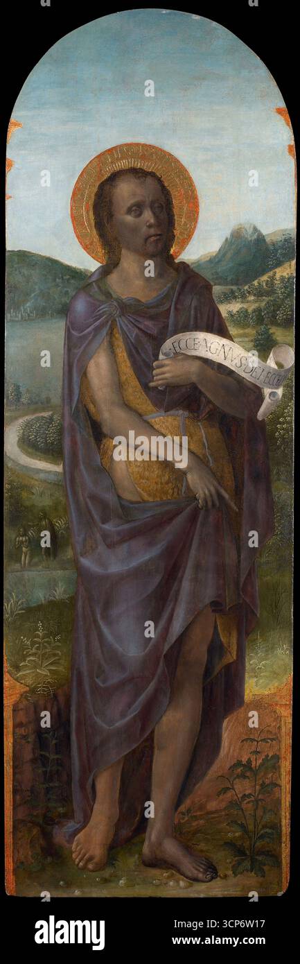 San Giovanni Battista. Museo: Pinacoteca Tosio Martinengo, Brescia. Autore: VINCENZO FOPPA. Foto Stock