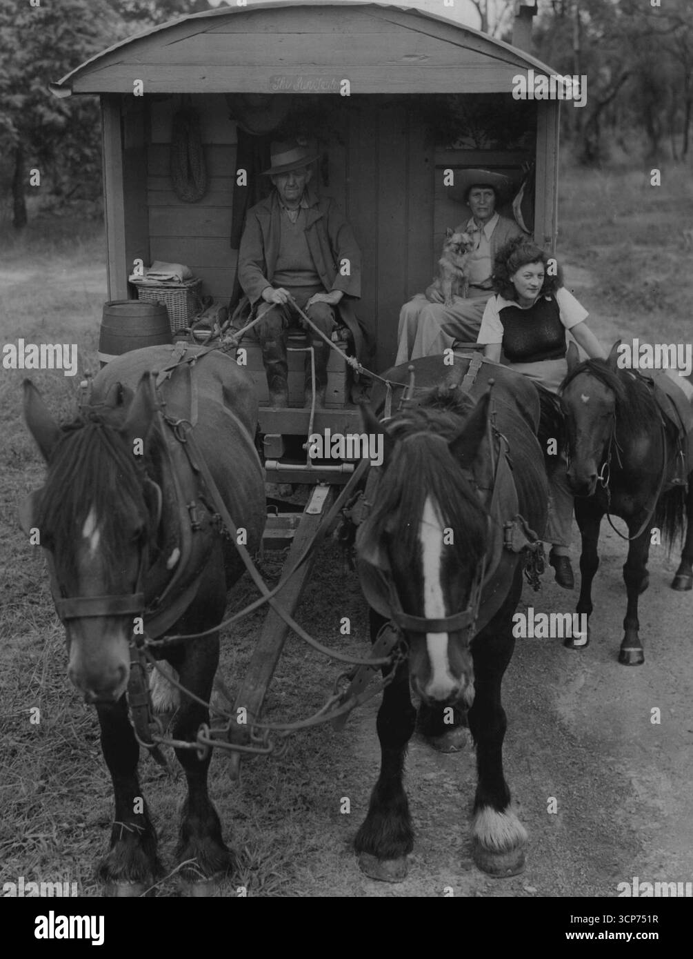 Miss Gillette Clyne e la figlia Diana e Tony Thomson viaggiano a cavallo ***** Se l'Australia ha davvero deciso di vendersi qui come la felice terra di opportunità, l'unica terra di avventura rimasta di questa tormentata e scoraggiata ***** Negli affari umani, verosimilmente sarebbe sopraffatto dai migranti americani. 1° aprile 1945. Foto Stock