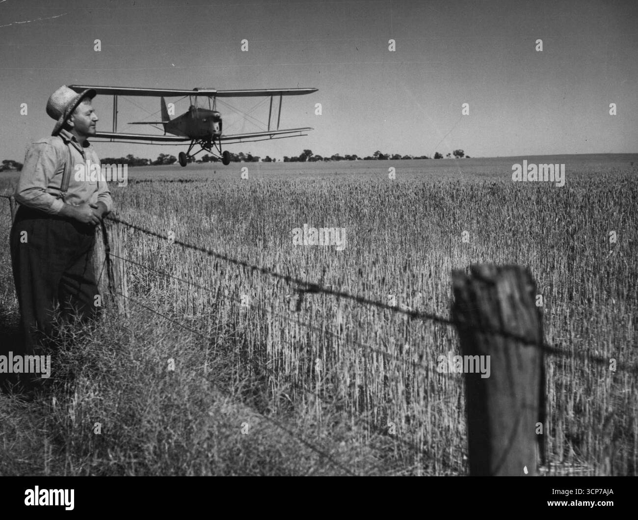 L'ex Bert Lockhart che guarda un aereo spruzzare il suo miglio quadrato di grano, del valore di 000 sterline, nella sua proprietà vicino a Balranald (NSW). Il grano è troppo verde per essere raccolto e si spera di salvare il raccolto dalle tramogge che si trovano in un paddock adiacente. Il governo del nuovo Galles del Sud fornisce lo spray, ma costa ancora agli agricoltori 12 acri per la spruzzatura del terreno. Queste foto provengono dal fotografo dello staff dell'Herald Frank Tolra che sta visitando le aree delle cavallette. 24 novembre 1955. Foto Stock