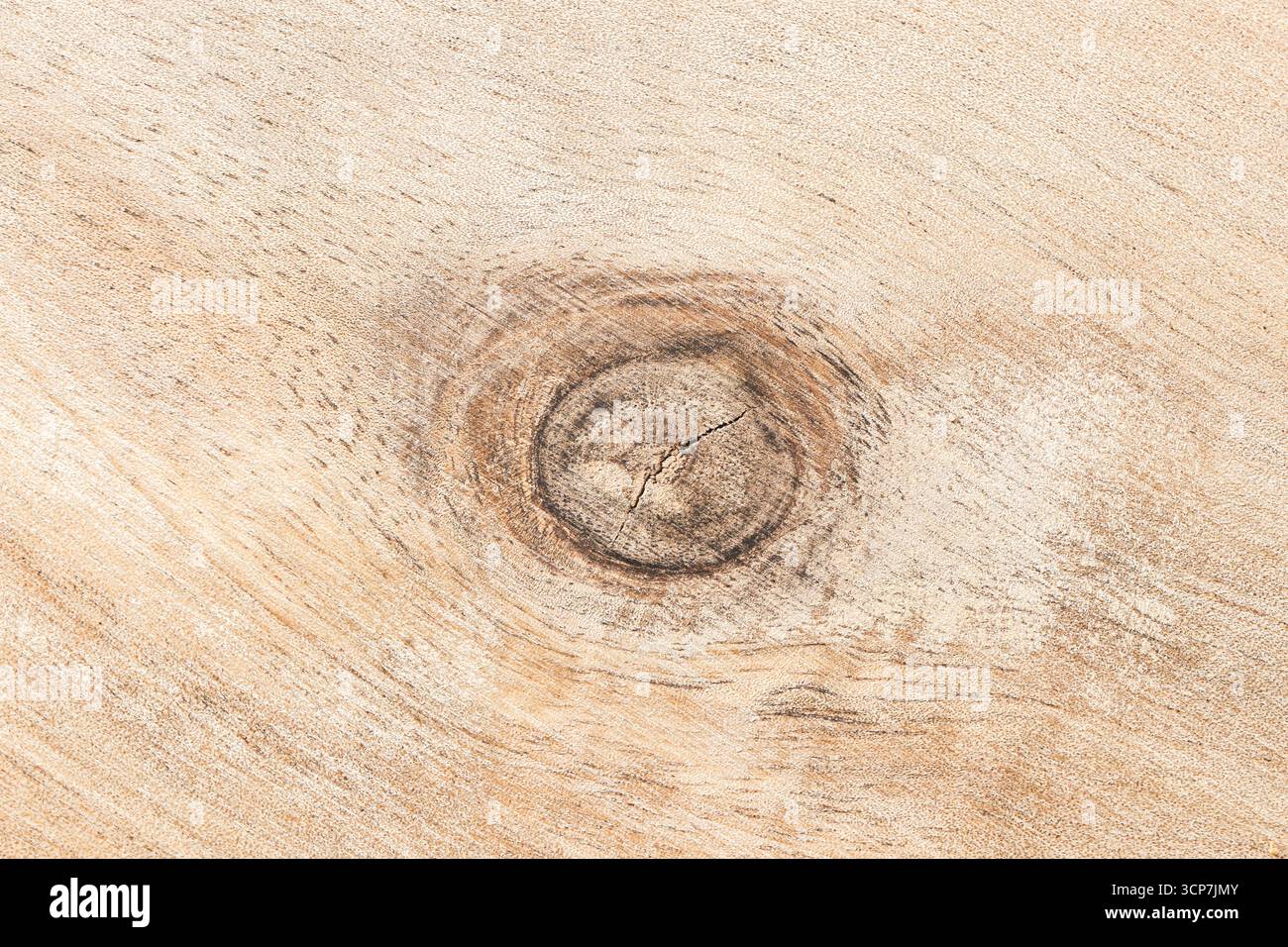 Primo piano della superficie in legno con dettagli a nodo naturale. Fondo rustico in legno. Struttura in legno organico per carpenteria, edilizia. Foto Stock