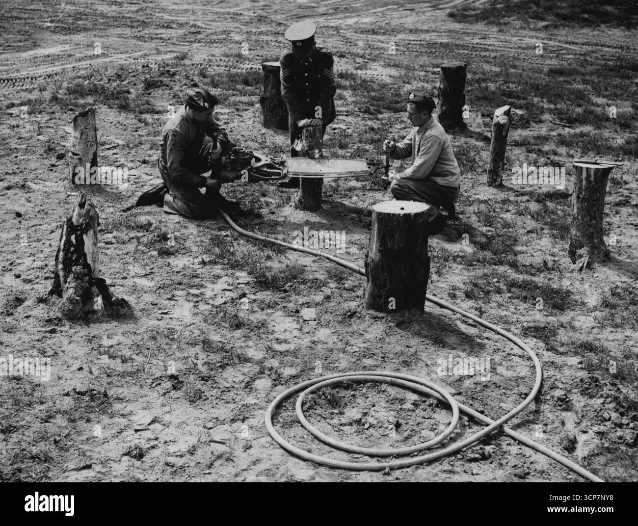 Per gli alberi con ***** Sega tagliare gli alberi nel Bosco Country per realizzare una trappola per cisterne. 17 marzo 1940. Foto Stock