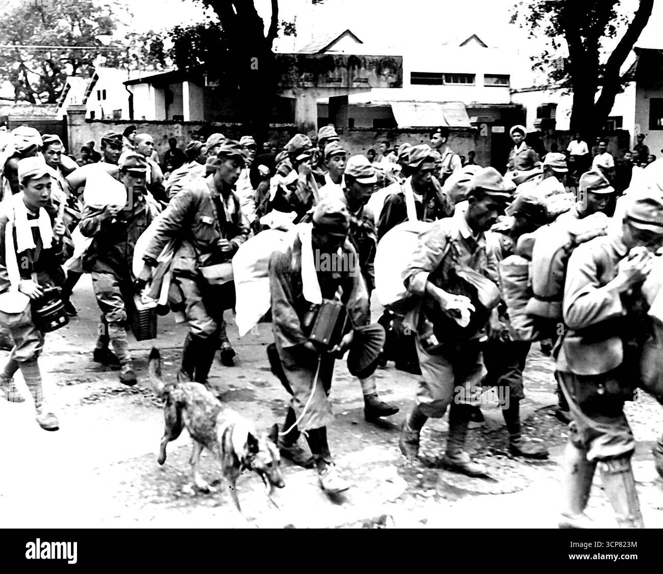 Truppe giapponesi in arrivo a Whitfield **** Kowloon, Hong Kong, con pacchetti completi e una Mascotte, dopo essere stata radunata da uomini della British Pacific Fleet Task Force, da posizioni esterne. 19 settembre 1945. Foto Stock
