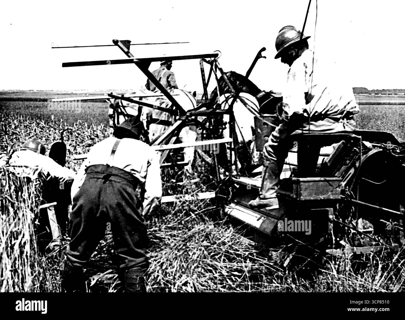 Raccogliendo le colture di grano sotto il fuoco -- le colture di grano nell'area della battaglia vengono tagliate e radunate dalle truppe francesi in caschi d'acciaio perché i tedeschi bombardano tutte le aree posteriori in profusione. La macchina a cumulo è qui vista al lavoro, soggetta a bombardamenti in qualsiasi momento da armi o bombardamenti aerei. 10 ottobre 1918. (Foto di una fotografia ufficiale francese). Foto Stock