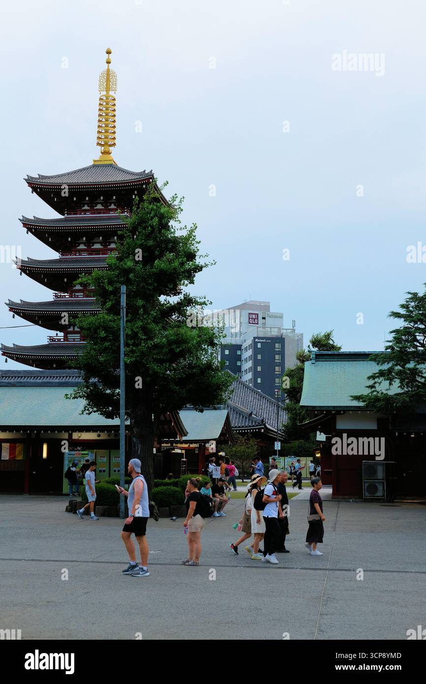 Pagoda a cinque piani al Tempio di Sensoji, Asakusa, Tokyo, Giappone; dedicata al bodhisattva Kannon Bosatsu, la pagoda fu costruita per la prima volta nel 942. Foto Stock