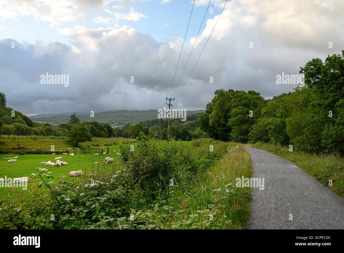 Llwybr Mawddach Trail nel Parco Nazionale di Eryri (Snowdonia) - Galles, Regno Unito Foto Stock