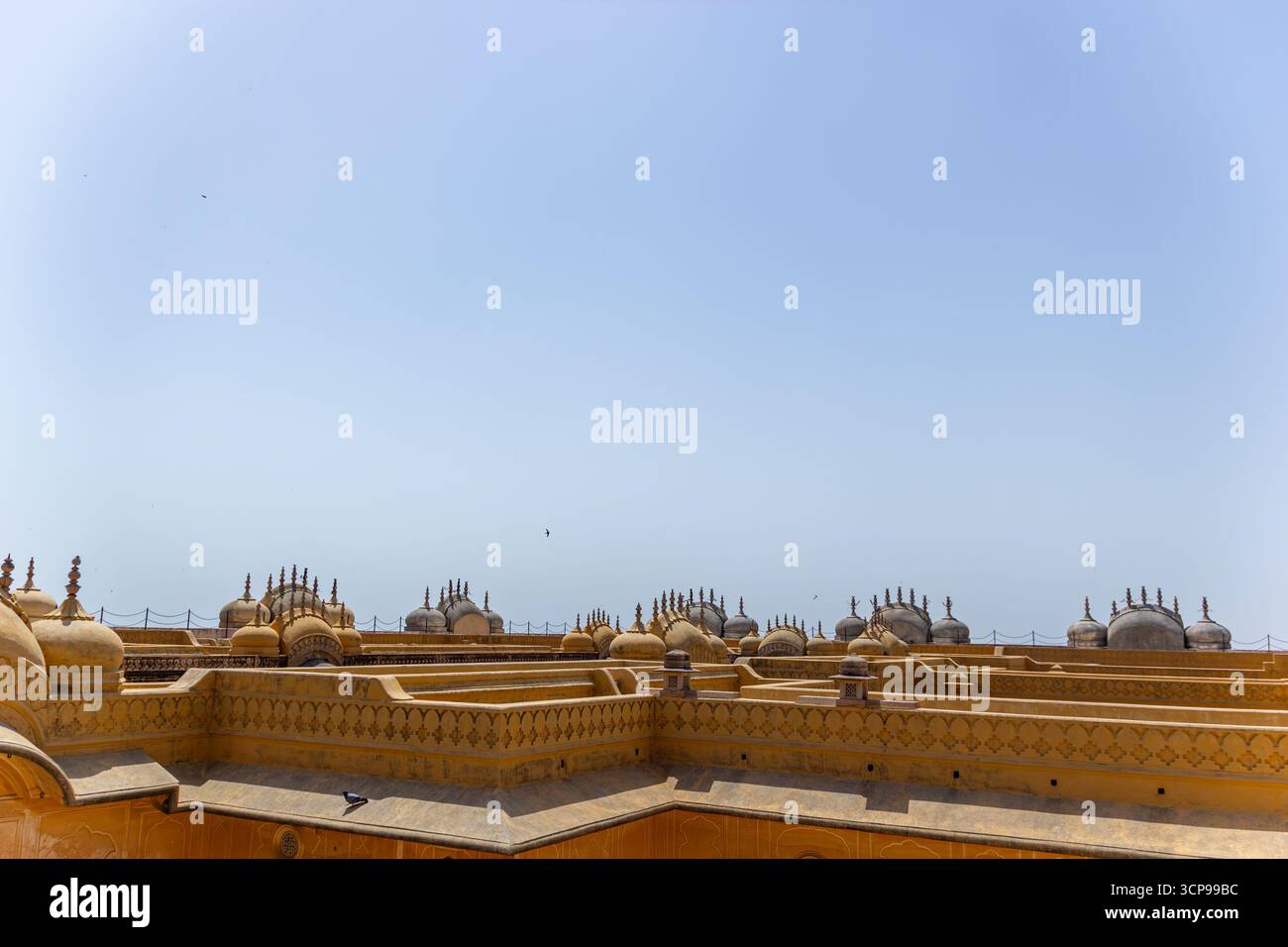 Ripetitivo tetto a cupola di un Grand Rajasthani Palace contro un cielo pallido Foto Stock