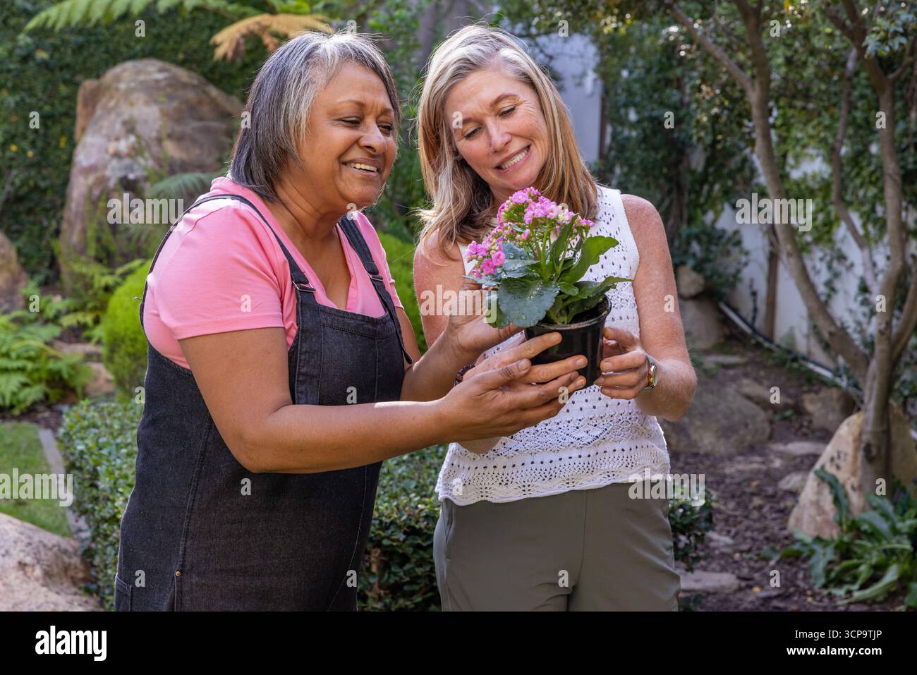 Diversi amici anziani che tengono in mano un piccolo vaso con una pianta rosa in fiore nel giardino di casa Foto Stock