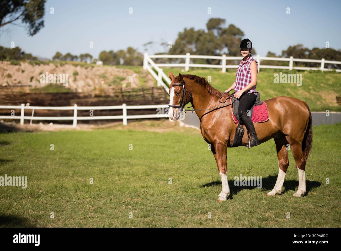 Donna equestre che indossa casco equitazione cavallo di castagno con sottosella rossa nel paddock, spazio copia Foto Stock