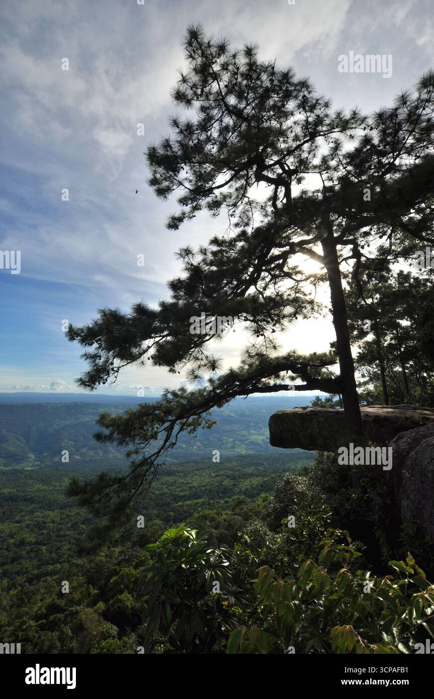 Lom Sak Cliff (Pha Lom Sak) con tramonto sul parco nazionale di Phu Kradueng, provincia di Loei, Thailandia Foto Stock
