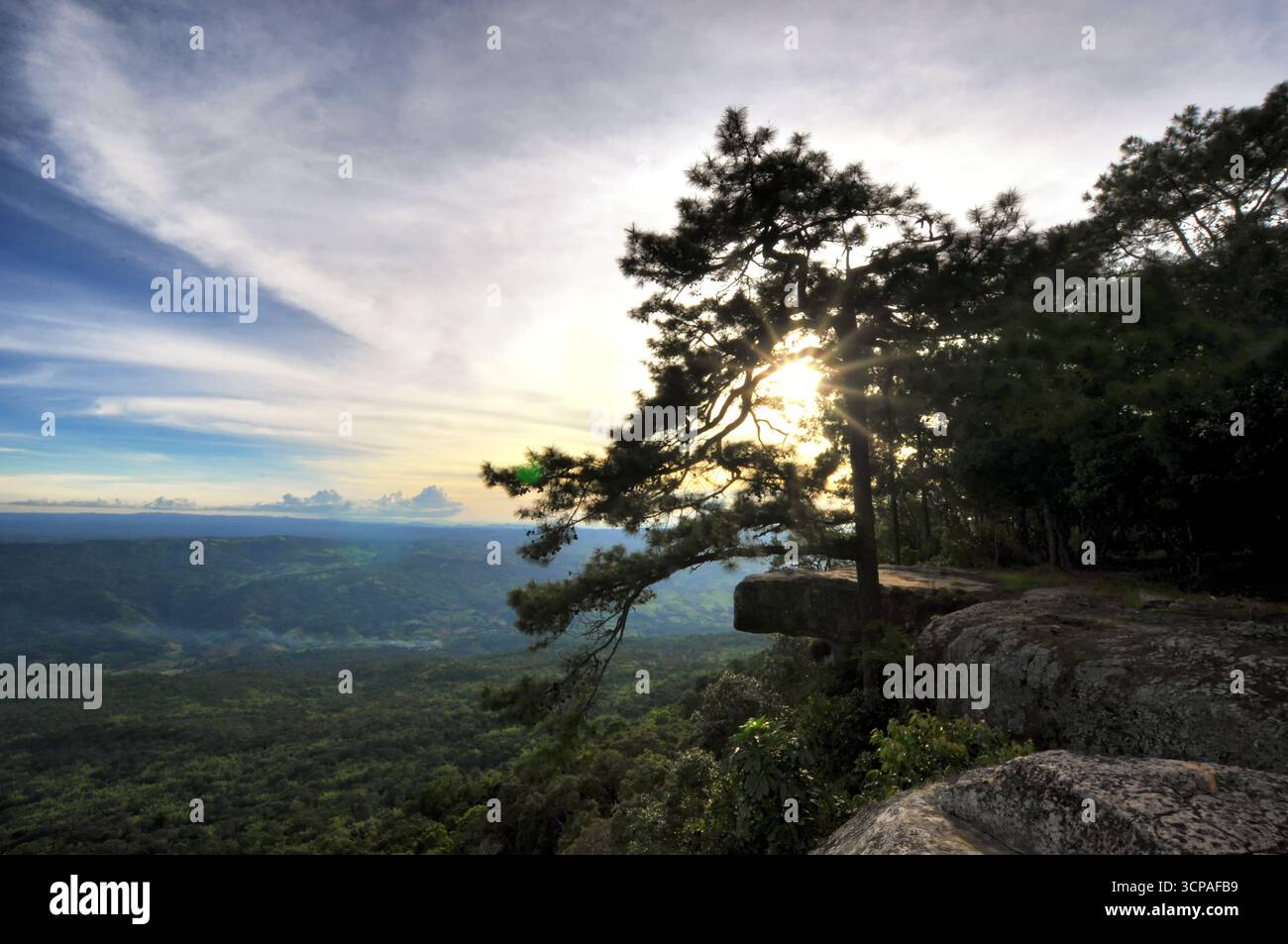 Lom Sak Cliff (Pha Lom Sak) con tramonto sul parco nazionale di Phu Kradueng, provincia di Loei, Thailandia Foto Stock