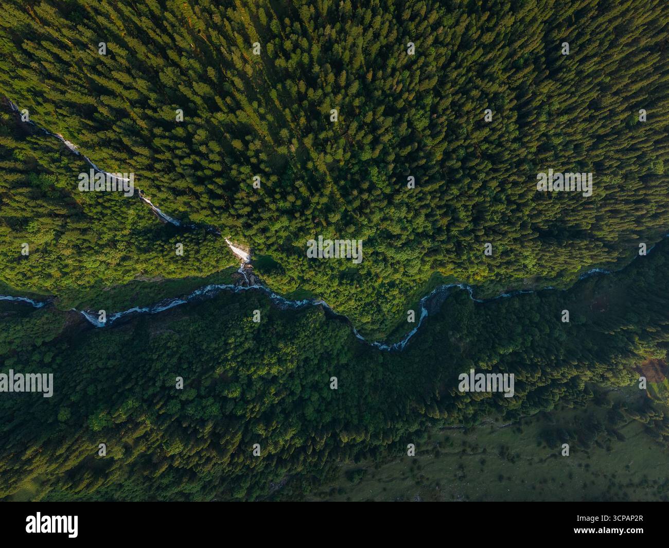 Vista aerea di un tortuoso fiume che scolpì il suo percorso attraverso una fitta e verdeggiante foresta, con il sole che getta un bagliore dorato sulle cime degli alberi, Sosan, Himachal P. Foto Stock