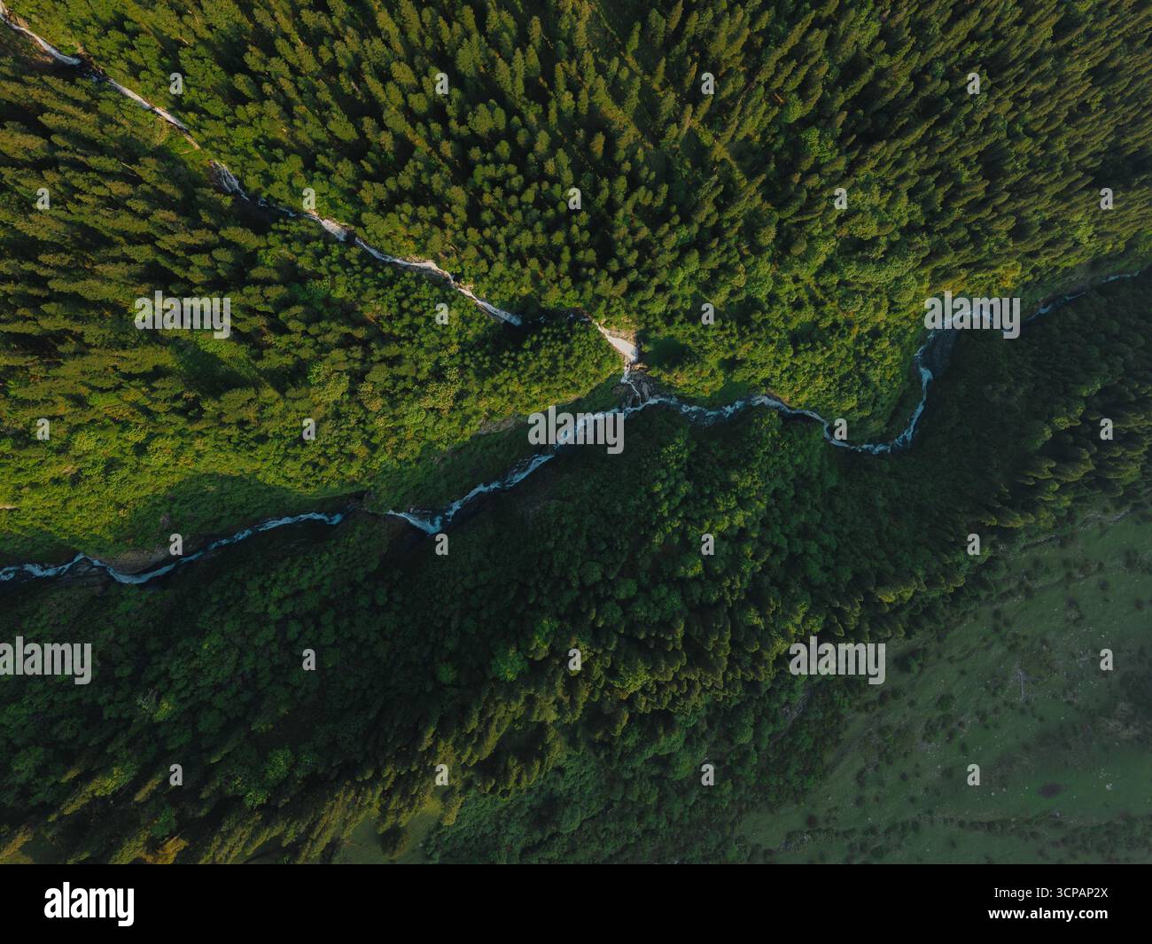 Vista aerea di un fiume serpentino che attraversa una fitta foresta, la luce del sole che circonda il baldacchino in scintillanti sfumature di smeraldo, Sosan, Himachal Pradesh, India. Foto Stock