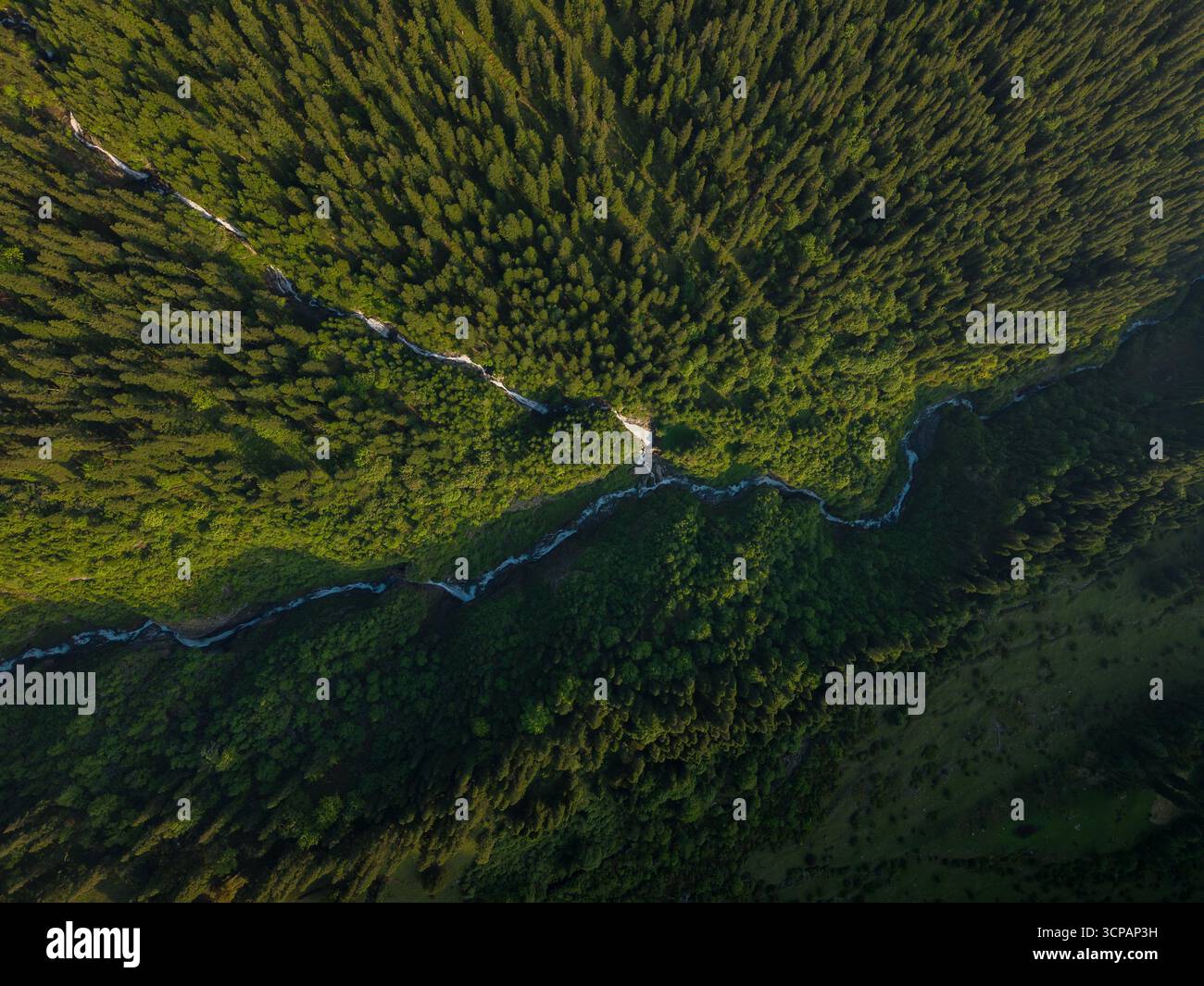 Vista aerea di un fiume tortuoso che attraversa una fitta foresta, la luce del sole che getta un caldo bagliore sulla lussureggiante baldacchino, Sosan, Himachal Pradesh, India. Foto Stock