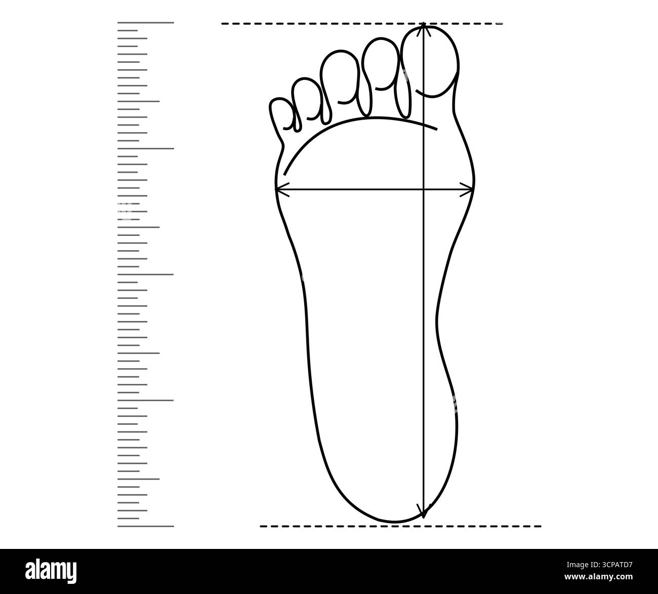 Misura del piede, misura della lunghezza del pattino. Controllo delle calzature. Lunghezza e larghezza del predellino sul righello. Disegno semplice della linea. Illustrazione vettoriale Illustrazione Vettoriale