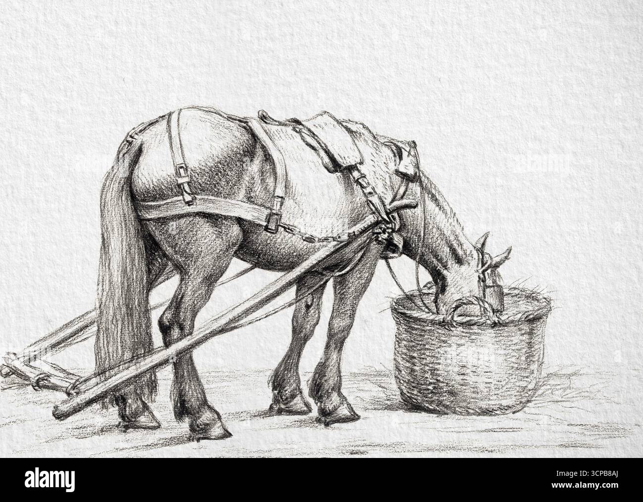 Mangia cavalli da un cestino di Jean Bernard, disegno di storia naturale ad alta risoluzione del 1816, illustrazione dettagliata di cavalli e animali da fattoria Foto Stock