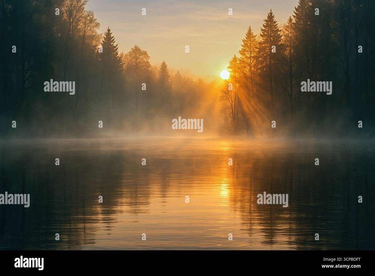 Un lago sereno e nebbioso all'alba, con raggi dorati che filtrano attraverso gli alberi. Foto Stock