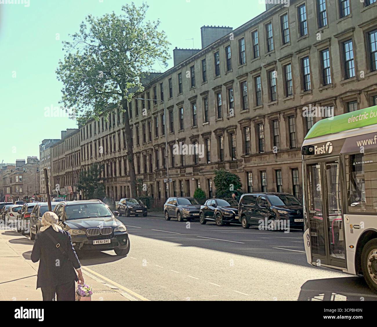 Glasgow, Scozia, Regno Unito. 25 settembre 2025. Argyle Street cenerà per Tree of the Year stasera, in quanto il vincitore sarà annunciato allo show della bbc One alle 19 di stasera. Situato da solo negli edifici urbani sulla strada più trafficata della città, con strade strette nella frenetica area di finniston, un aggiornamento Strange Sight: Argyle Street ash is Tree of the Year 2025 di Glasgow. Credit Gerard Ferry/Alamy Live News Foto Stock