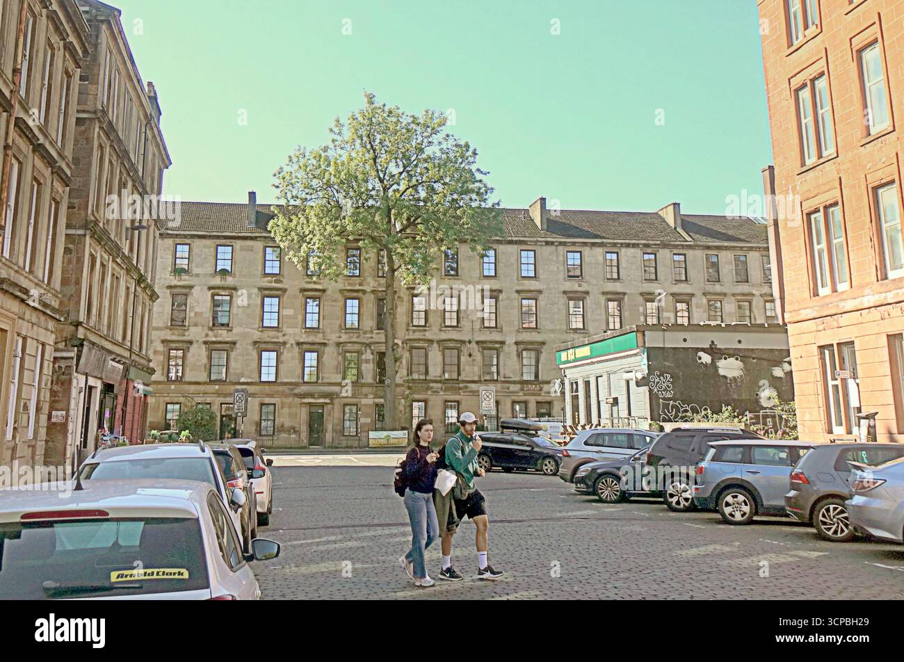 Glasgow, Scozia, Regno Unito. 25 settembre 2025. Argyle Street cenerà per Tree of the Year stasera, in quanto il vincitore sarà annunciato allo show della bbc One alle 19 di stasera. Situato da solo negli edifici urbani sulla strada più trafficata della città, con strade strette nella frenetica area di finniston, un aggiornamento Strange Sight: Argyle Street ash is Tree of the Year 2025 di Glasgow. Credit Gerard Ferry/Alamy Live News Foto Stock