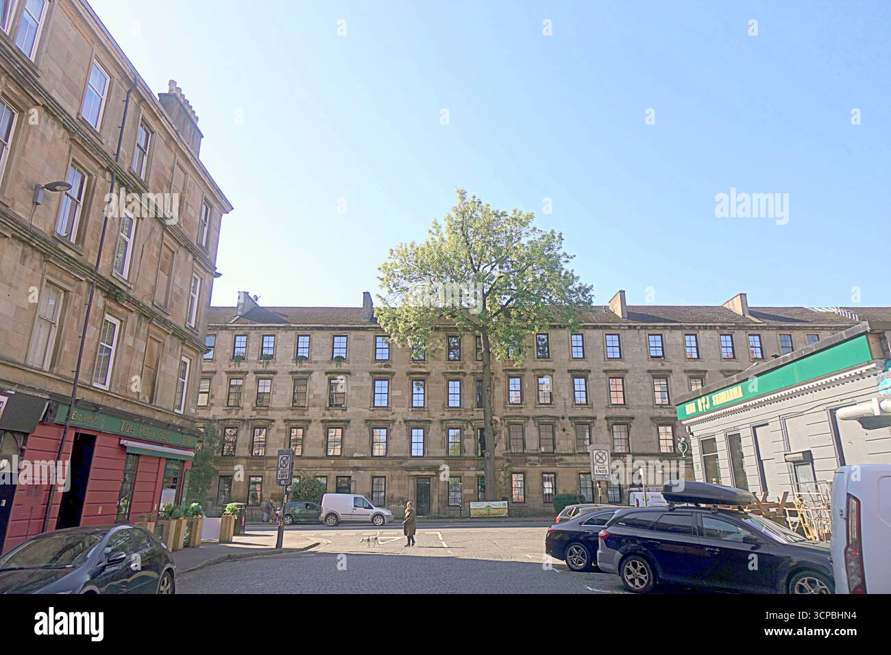 Glasgow, Scozia, Regno Unito. 25 settembre 2025. Argyle Street cenerà per Tree of the Year stasera, in quanto il vincitore sarà annunciato allo show della bbc One alle 19 di stasera. Situato da solo negli edifici urbani sulla strada più trafficata della città, con strade strette nella frenetica area di finniston, un aggiornamento Strange Sight: Argyle Street ash is Tree of the Year 2025 di Glasgow. Credit Gerard Ferry/Alamy Live News Foto Stock