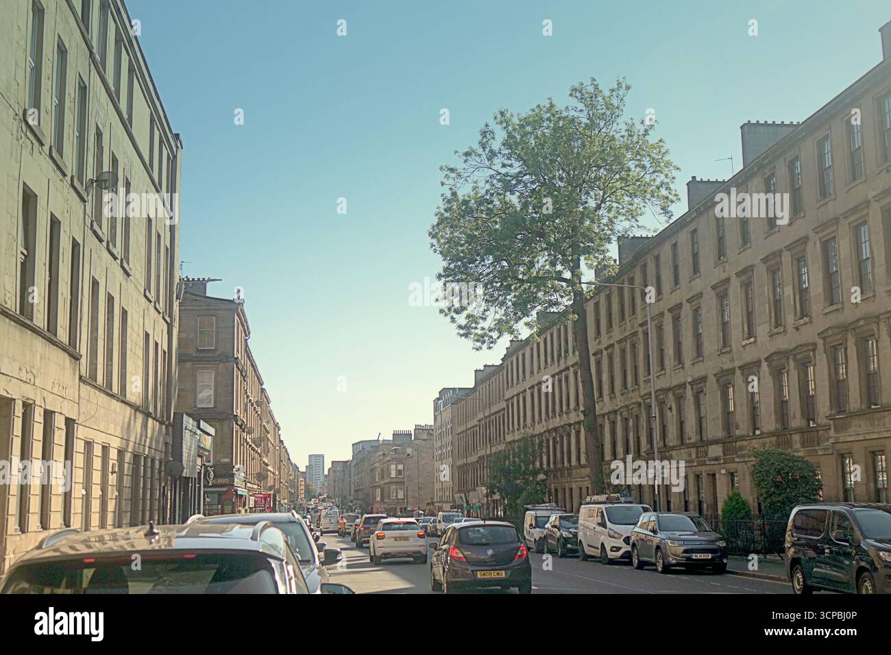 Glasgow, Scozia, Regno Unito. 25 settembre 2025. Argyle Street cenerà per Tree of the Year stasera, in quanto il vincitore sarà annunciato allo show della bbc One alle 19 di stasera. Situato da solo negli edifici urbani sulla strada più trafficata della città, con strade strette nella frenetica area di finniston, un aggiornamento Strange Sight: Argyle Street ash is Tree of the Year 2025 di Glasgow. Credit Gerard Ferry/Alamy Live News Foto Stock