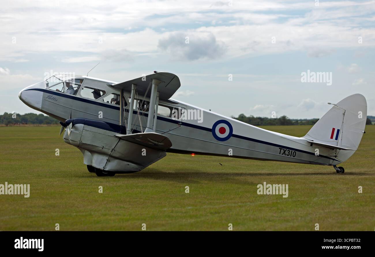 Un 1946, De Havilland DH89A Dragon rapide «TX310» «nettie», che offre voli di piacere durante il Duxford Battle of Britain Air Show 2025 Foto Stock
