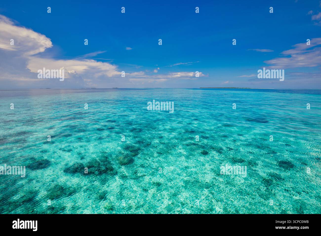 Splendida vista sull'oceano tropicale con un orizzonte rilassante. Calmo mare, cielo tranquillo e nuvole morbide. Sfondo naturale perfetto. Barriera corallina poco illuminata dal sole Foto Stock