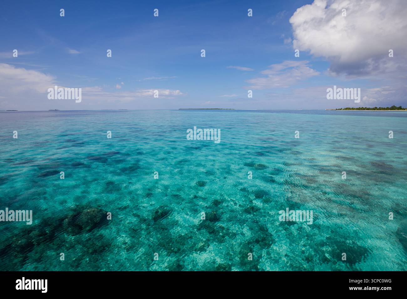 Splendida vista sull'oceano tropicale con un orizzonte rilassante. Calmo mare, cielo tranquillo e nuvole morbide. Sfondo naturale perfetto. Barriera corallina poco illuminata dal sole Foto Stock