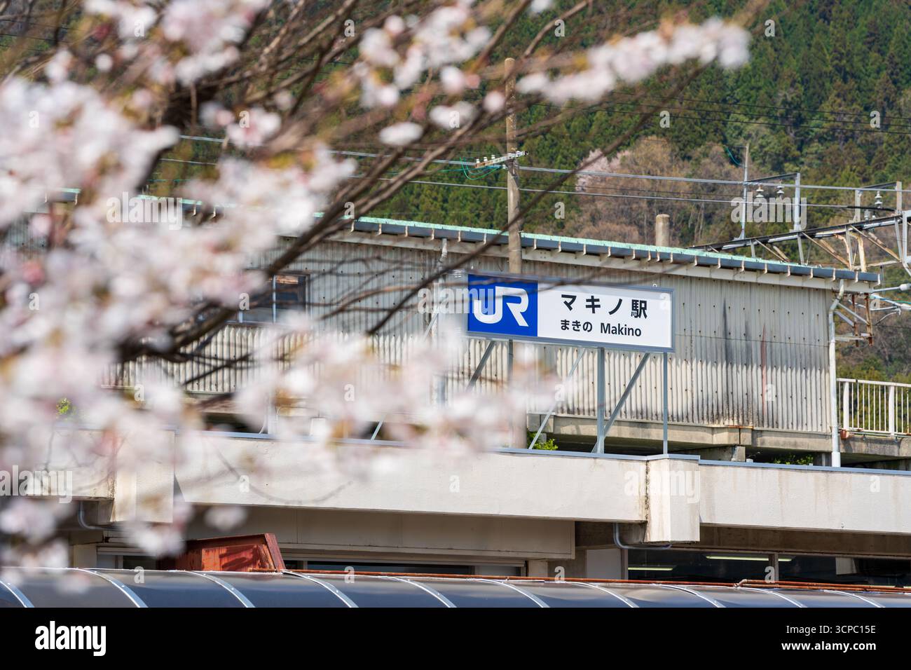 Takashima, Shiga, Giappone. Vista dell'edificio della stazione JR West Makino e cartello visto attraverso splendidi fiori di ciliegio in primavera. Foto Stock