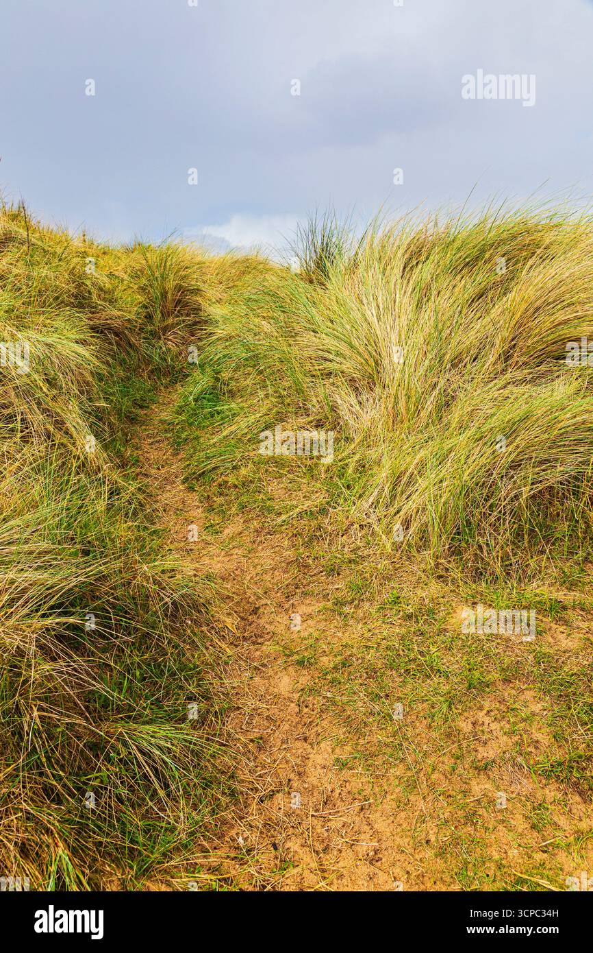 Seaton Sluice Beach adiacente al porto Foto Stock