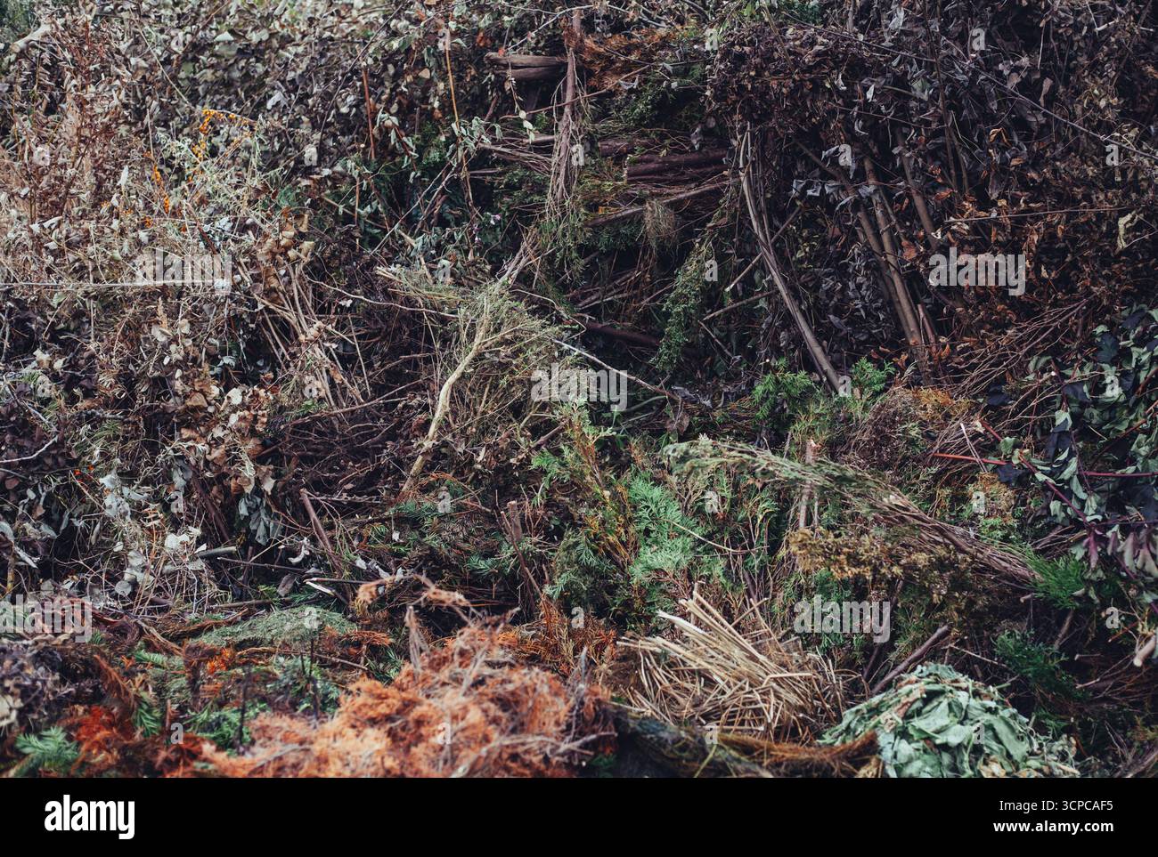 Fondo rustico consistenza di erba secca, vegetazione secca, foglie e rami rotti Foto Stock