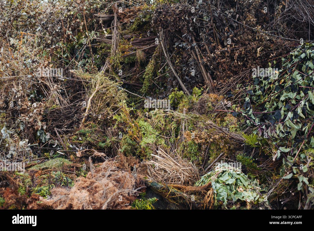 Fondo rustico consistenza di erba secca, vegetazione secca, foglie e rami rotti Foto Stock