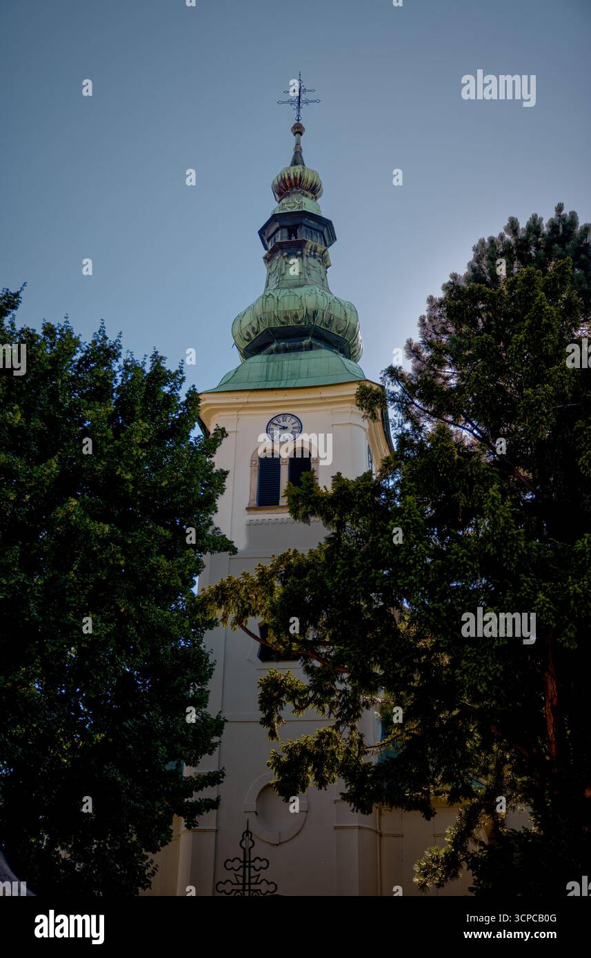 Il campanile barocco della chiesa di San Biagio sorge sopra alberi lussureggianti nel quartiere storico della città. Foto Stock