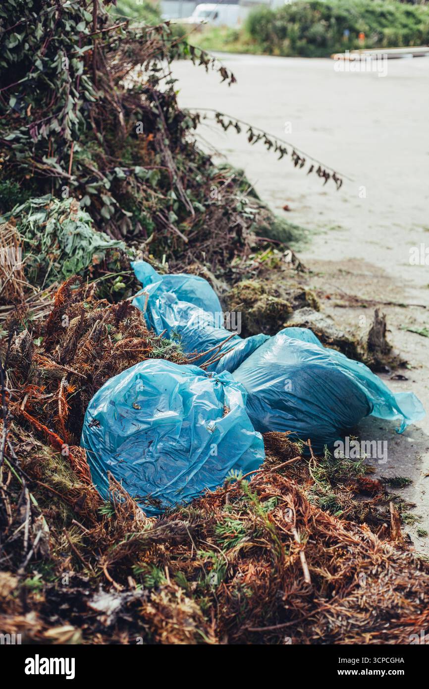 Ambiente di riciclaggio: Sacchetti di plastica con foglie, erba e rami per il compost Foto Stock