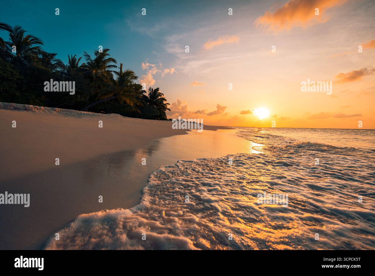 Tranquilla e tranquilla spiaggia al tramonto. Onde e sabbia soffice, profilo di palme. Mare calmo e colorato orizzonte del cielo. Vacanze estive relax e natura Foto Stock