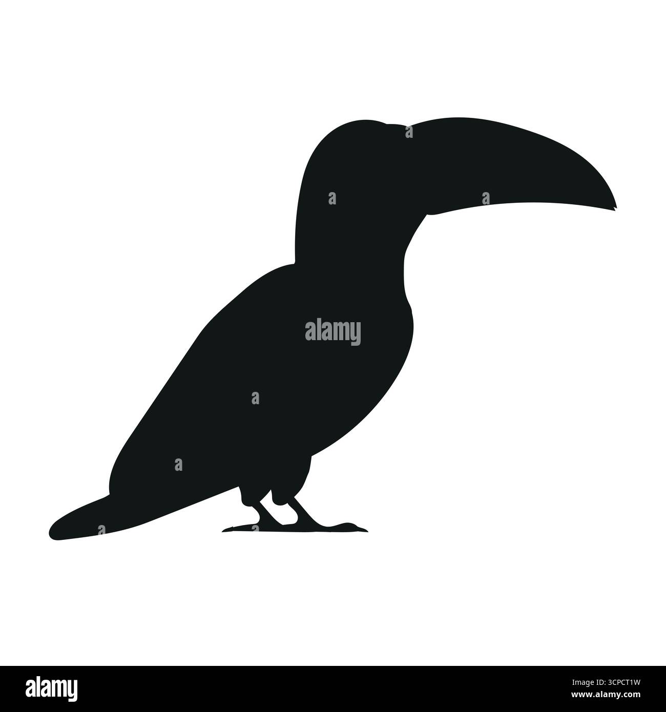 Silhouette toucan piatta e vettoriale disegnata a mano Illustrazione Vettoriale